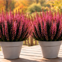 Knoppljung Rosa – 17 cm + Grå terrakottakruka